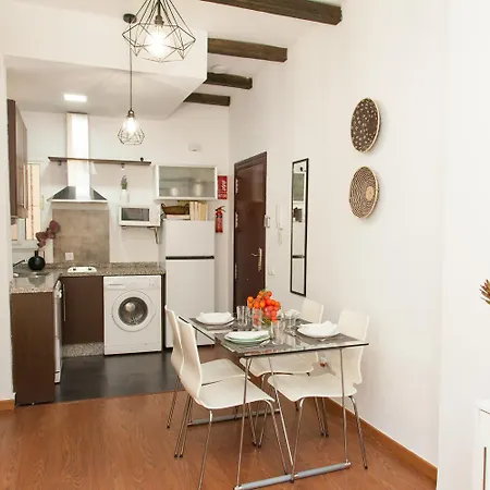 Isg Conde De Ibarra 12 Free Parking Apartment Seville