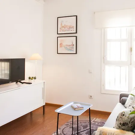 Apartment Isg Conde De Ibarra 12 Free Parking *